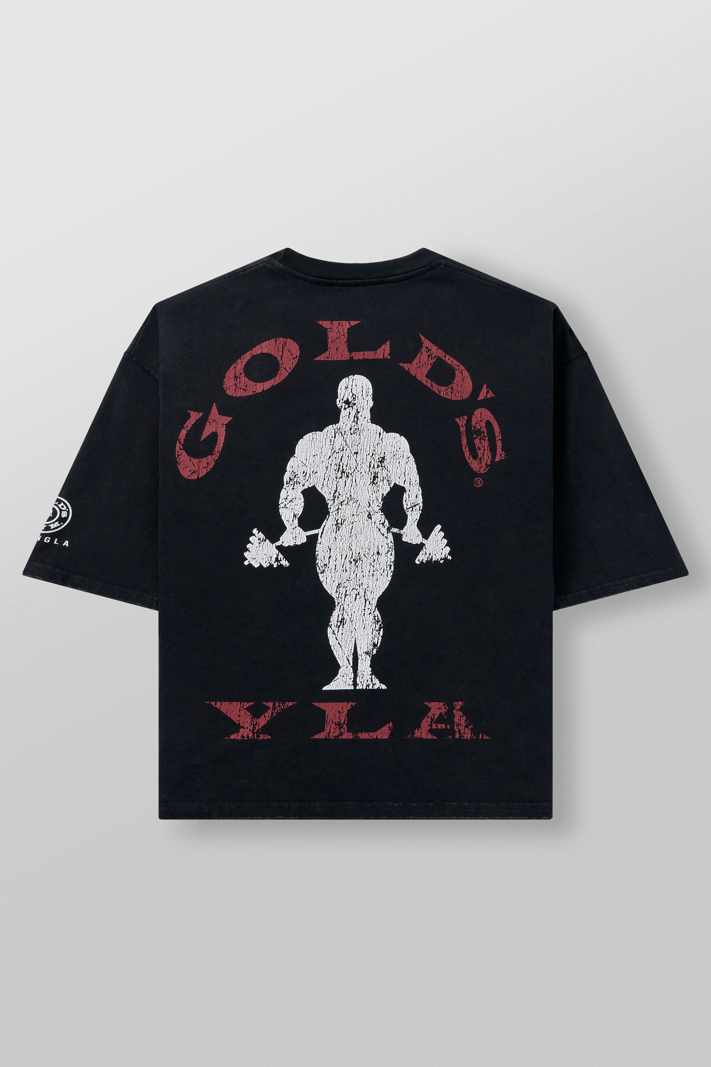 GOLDS GYM NEW AGE TEES