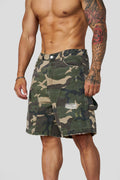Carpenter Jorts