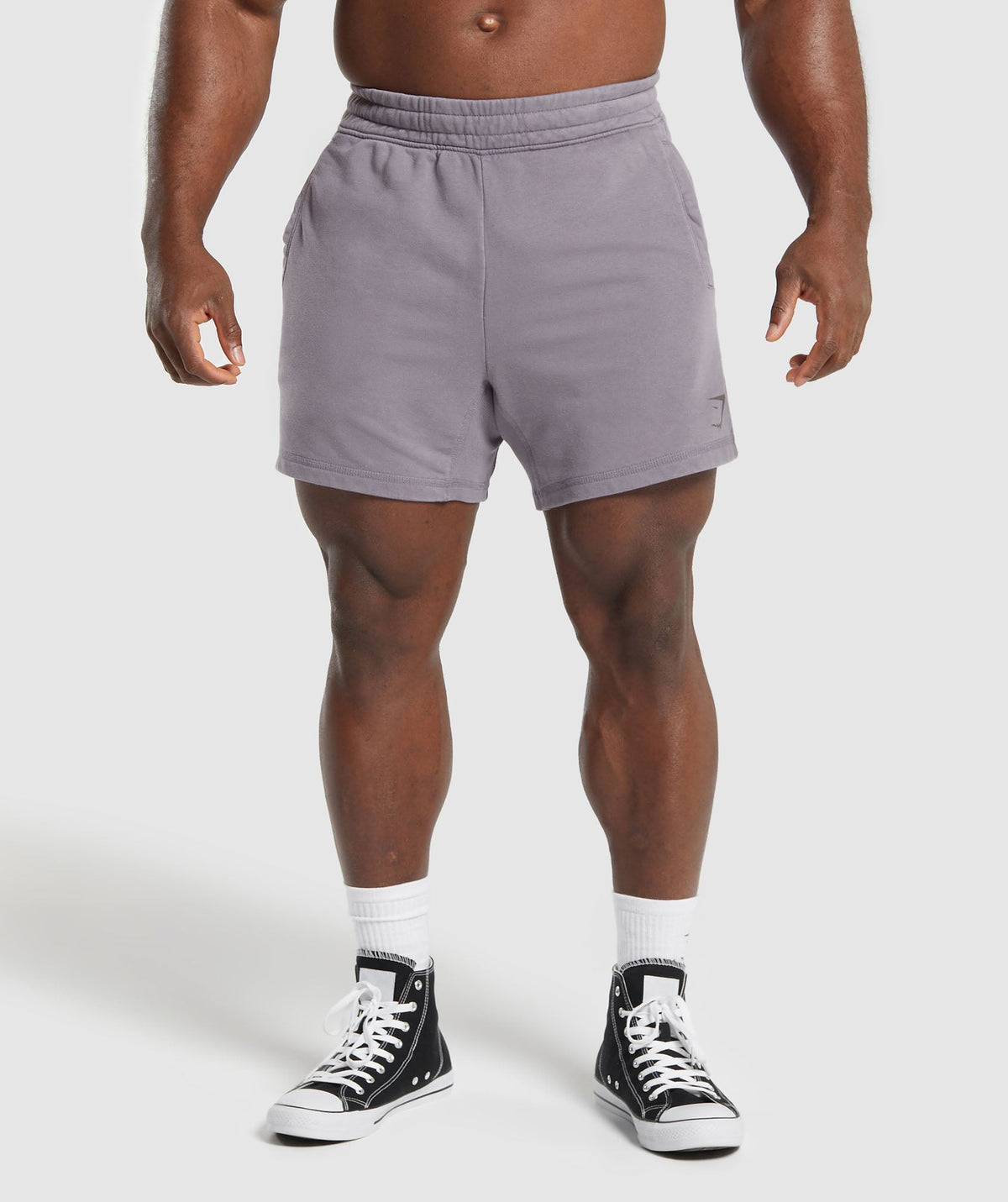 Power Washed 5" Shorts - Fog Purple/Acid Wash Small Ball