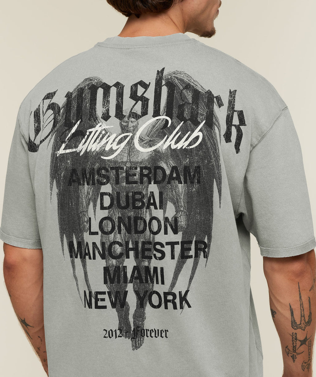 Vengeance Graphic T-Shirt - Smokey Grey/Wash ;)