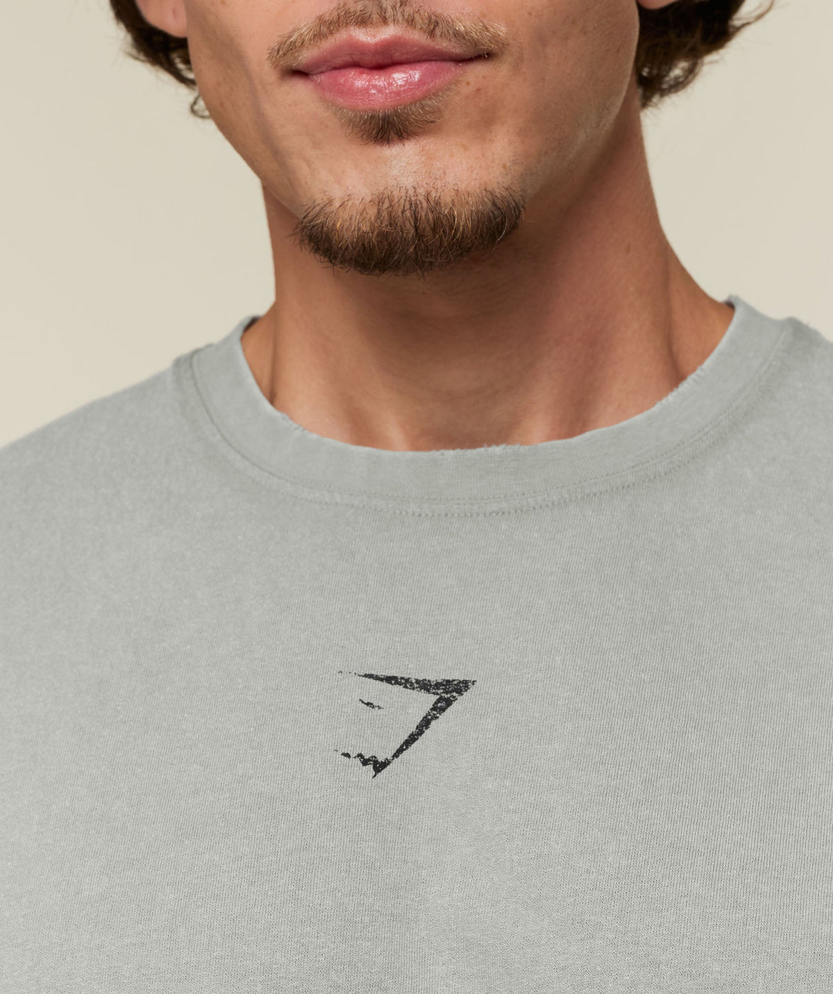 Vengeance Graphic T-Shirt - Smokey Grey/Wash ;)