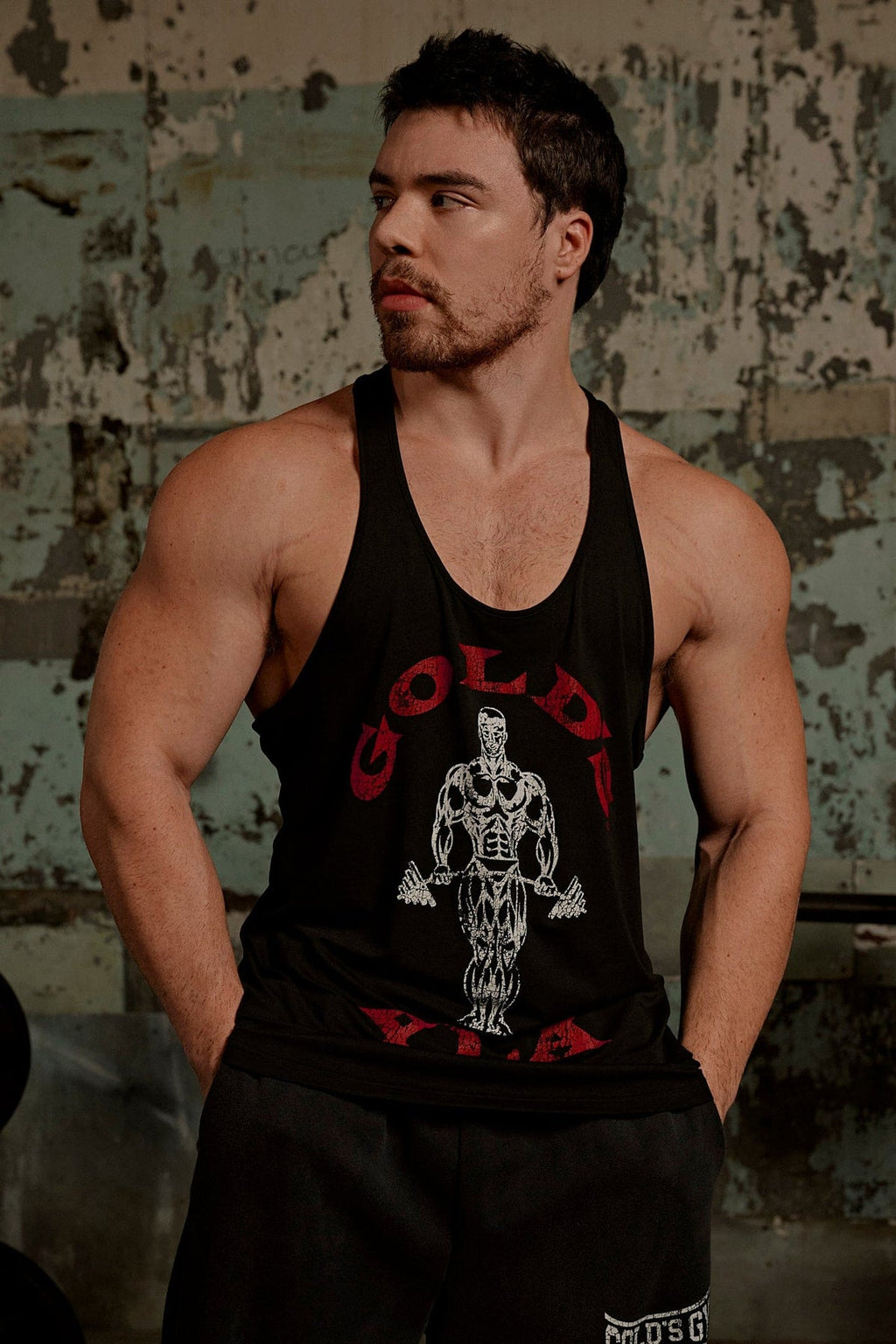 GOLD'S IRON LEGACY ICON STRINGERS