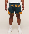 Varsity Mesh Shorts - Deep Petrol Blue/Antique Gold ;)