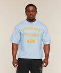 Gymshark Training Graphic T-Shirt - Chilled Blue ;)