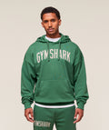 Worn Graphic Hoodie - Lift Green ;)